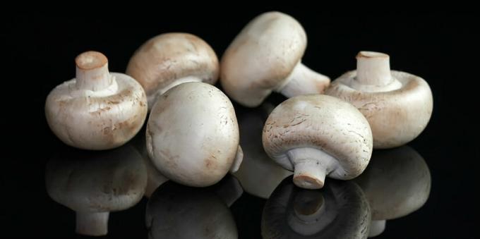 Funghi - mushroomy champignon