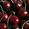 Perché vale la pena aggiungere le ciliegie alla dieta: TOP-4 utili scoperte
