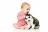 Cane e bambino: le regole dell'adattamento reciproco