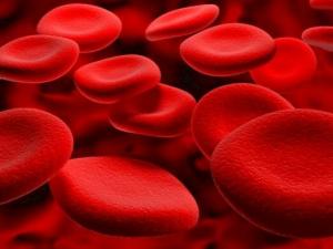 Gli alimenti che fluidificare il sangue e prevenire la formazione di coaguli di sangue