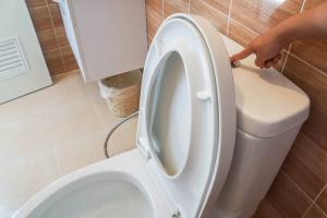 Perché versare detersivo per piatti nella toilette?