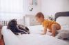 Quali animali domestici sono pericolosi per i bambini? La risposta del dottor Komarovsky