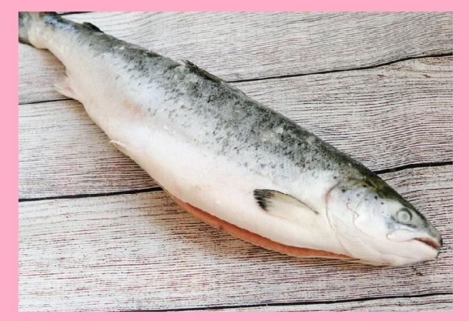Omega - 3 nel pesce (salmone)