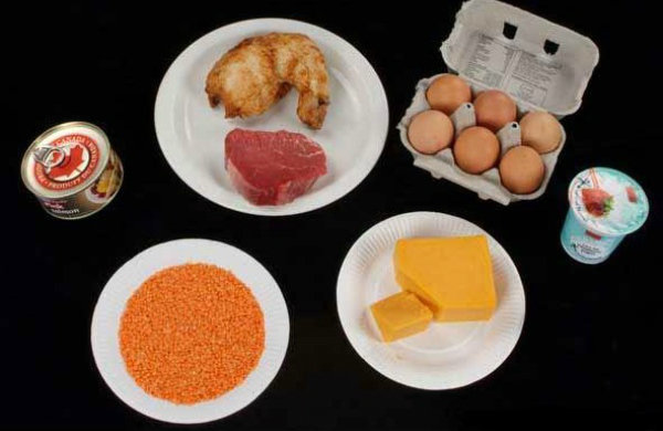 alimenti ricchi di proteine ​​- proteine ​​alimentari