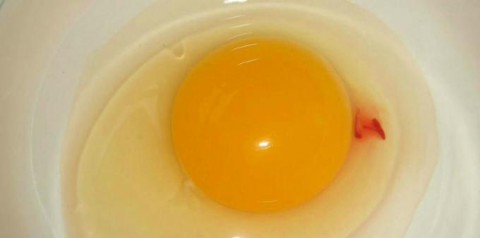 Egg - uovo