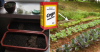 Come posso utilizzare bicarbonato di sodio nei loro orti