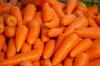 Alimenti complementari per bambini: come introdurre le carote negli alimenti per bambini