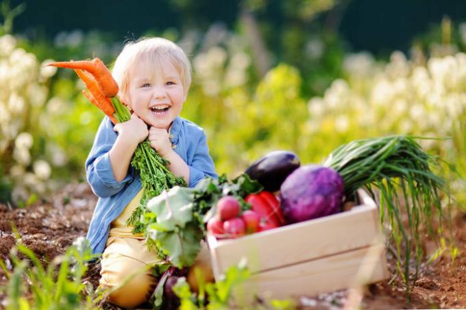 Tabella delle calorie degli alimenti comunemente consumati