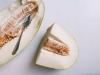 Charlotte di melone lussureggiante: ricetta passo dopo passo