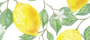 Lemon - ancora cibi acidi o alcalini?