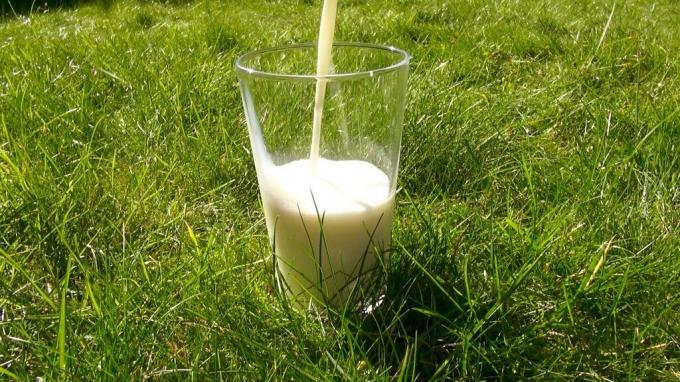 Il latte venduto in esercizi contiene caseina A1, che il corpo spire 