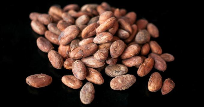 Cacao - cacao