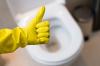TOP-3 rimedi naturali per la disinfezione di un bagno