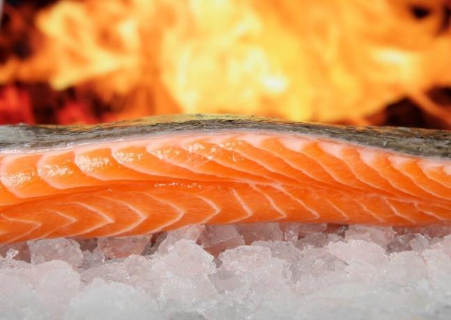 omega-3 preferito - di carne di salmone selvatico. Ma dove prenderlo?)
