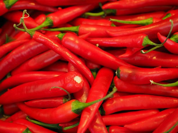 peperoncino