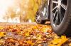 Attenzione, autunno: i 9 migliori consigli per i conducenti che possono salvare vite umane