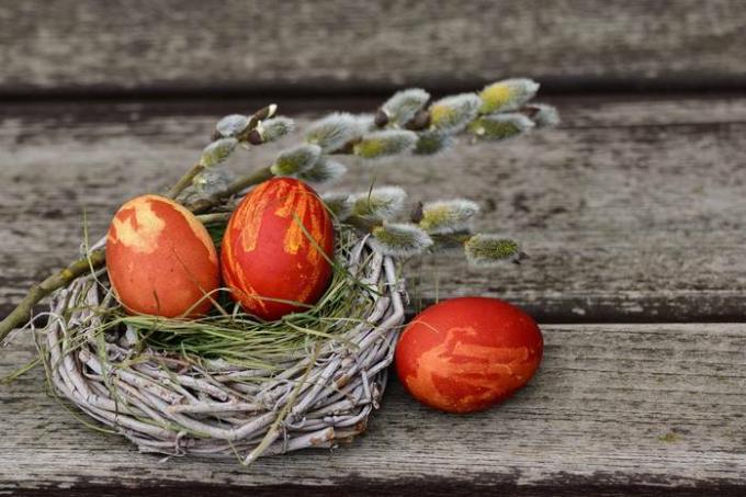 Come colorare le uova di quaglia per Pasqua con il cibo: consigli comprovati